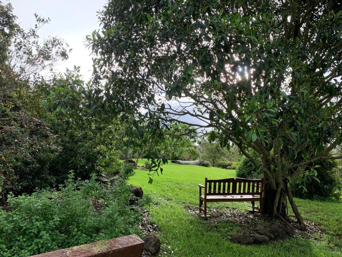 Cedarview Bed & Breakfast Beechmont Bagian luar foto