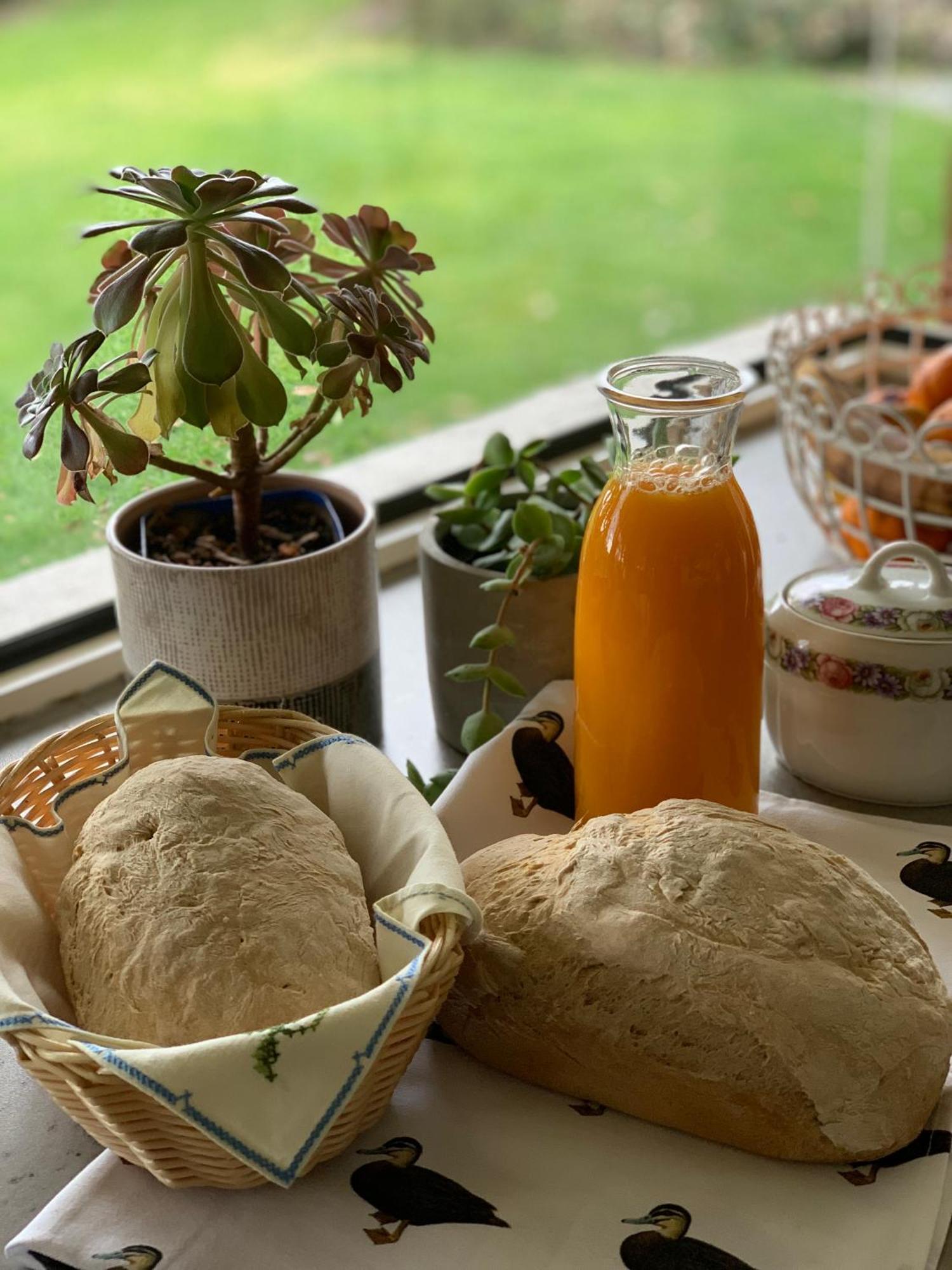 Cedarview Bed & Breakfast Beechmont Bagian luar foto