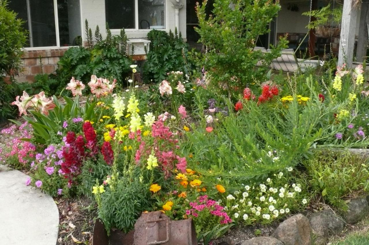 Cedarview Bed & Breakfast Beechmont Bagian luar foto